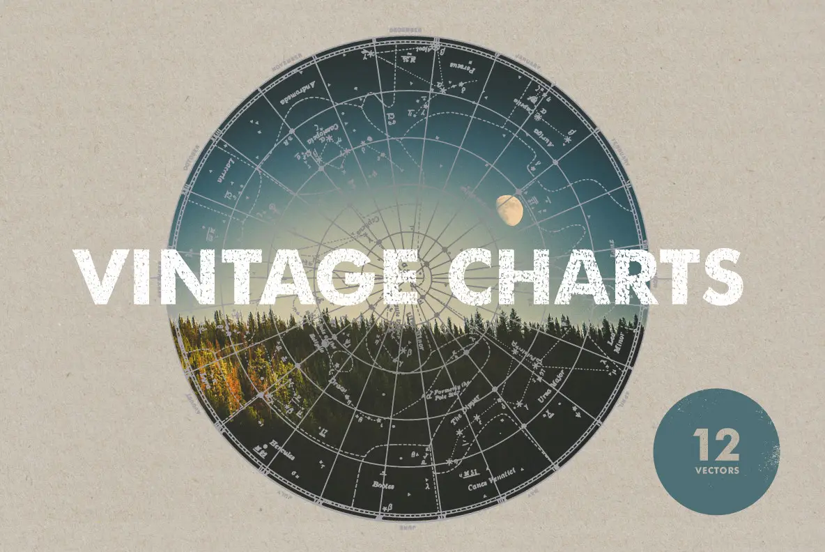 Vintage Charts - 12 Vectors