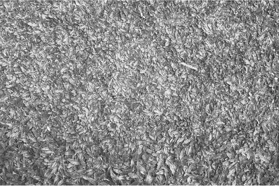 Black and White Texture Pack 02 Graphics - YouWorkForThem