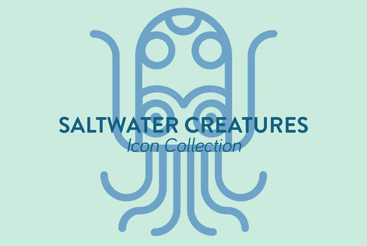 Saltwater Creatures