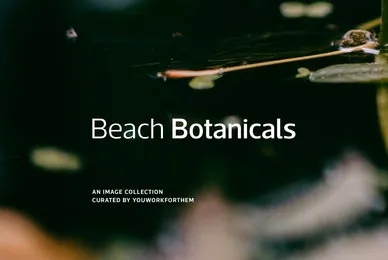 Beach Botanicals