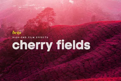 Cherry Fields Action