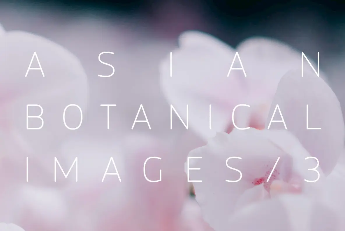 Asian Botanical Images 3