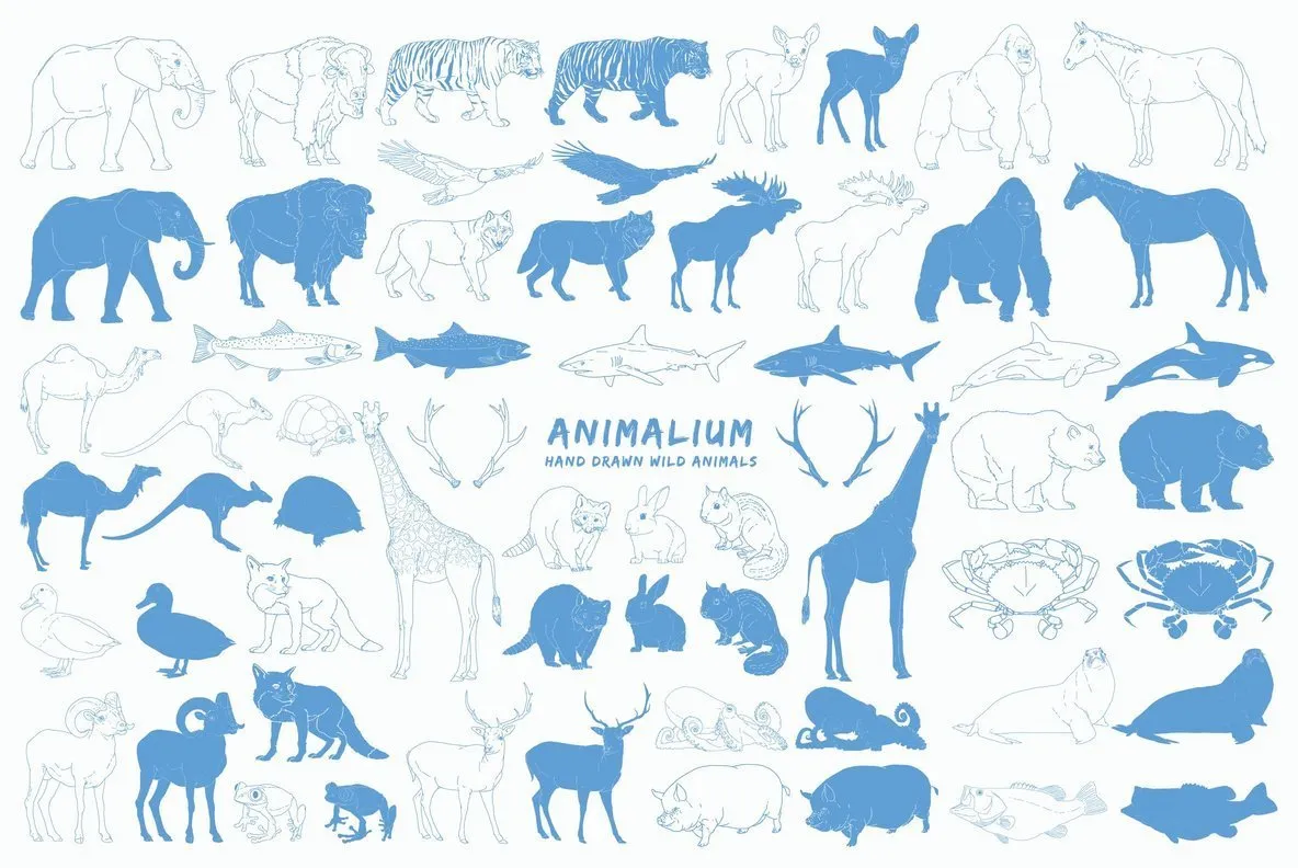 Animalium
