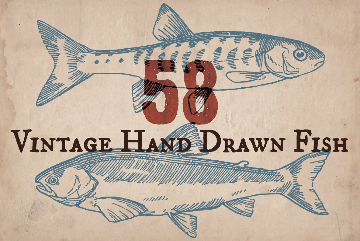 Vintage Hand Drawn Fish