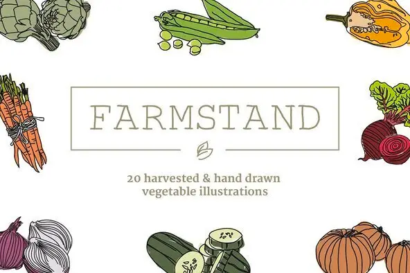 20 Handdrawn Vegetable Illustrations