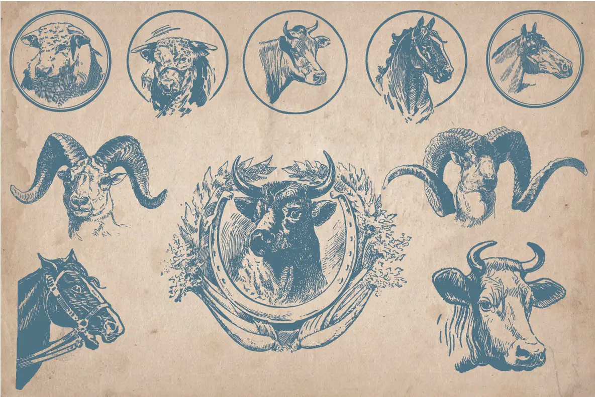 40 Vintage Farm Animals Graphics - YouWorkForThem