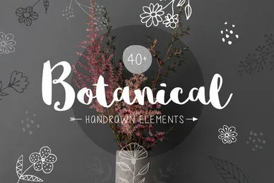 40  Botanical Hand Drawn Elements