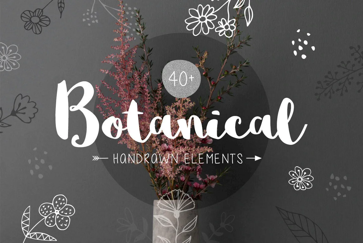 40+ Botanical Hand Drawn Elements