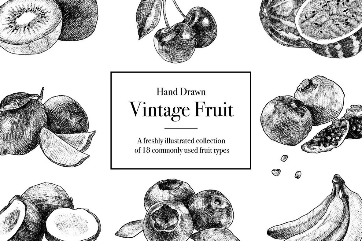 Hand Drawn Vintage Fruit