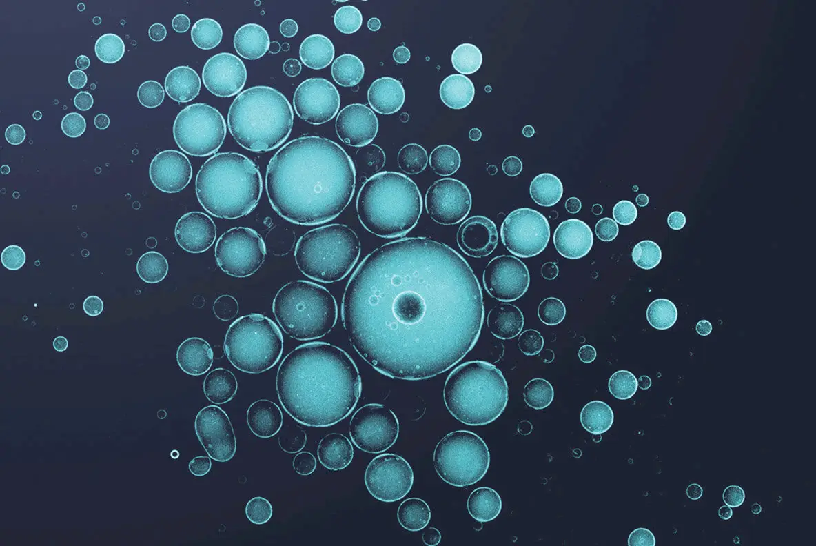 Dynamic Cell Brushes Photoshop Cell Brushes - YouWorkForThem