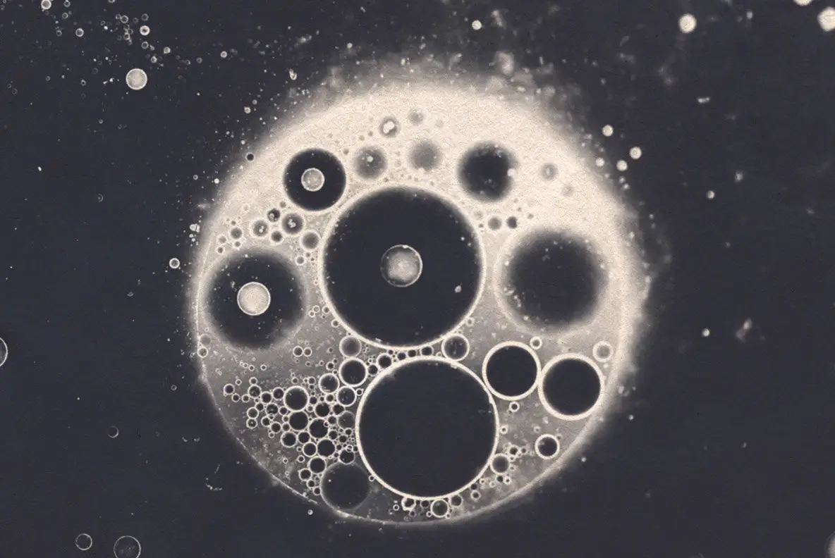 Dynamic Cell Brushes Photoshop Cell Brushes - YouWorkForThem