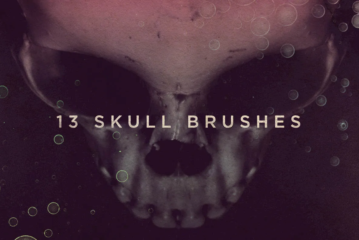 13 Skull Brushes