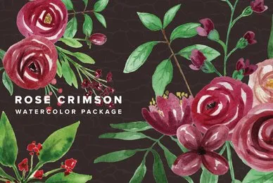 Rose Crimson Watercolor Package