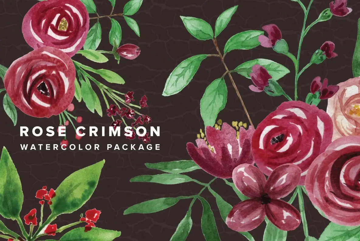 Rose Crimson Watercolor Package