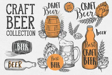 Beer Alcohol Illustrations