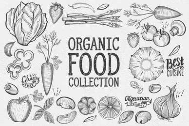 Organic Food Illustrations
