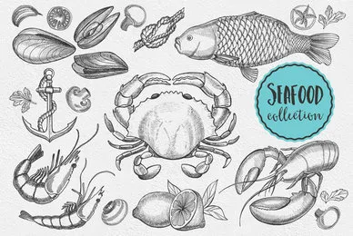 Seafood Illustrations
