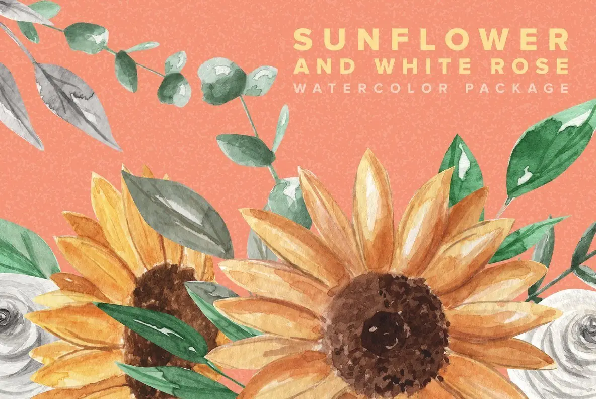 Sunflower and White Rose Watercolor Package