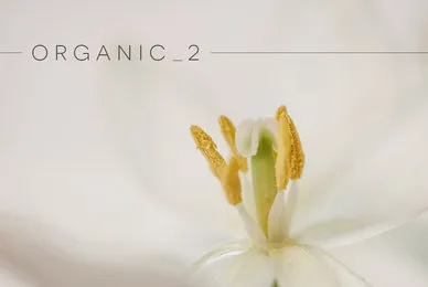 Organic 2