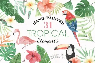 Tropical Elements Watercolor Package