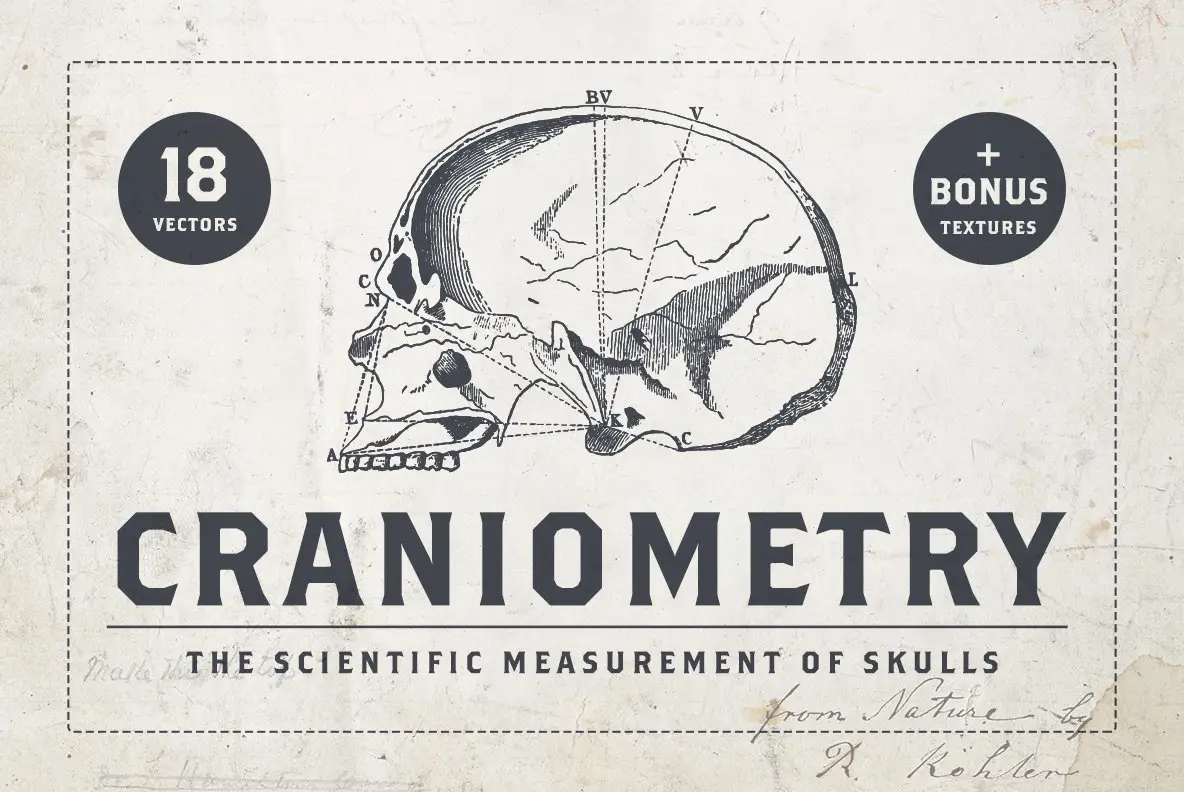 Craniometry