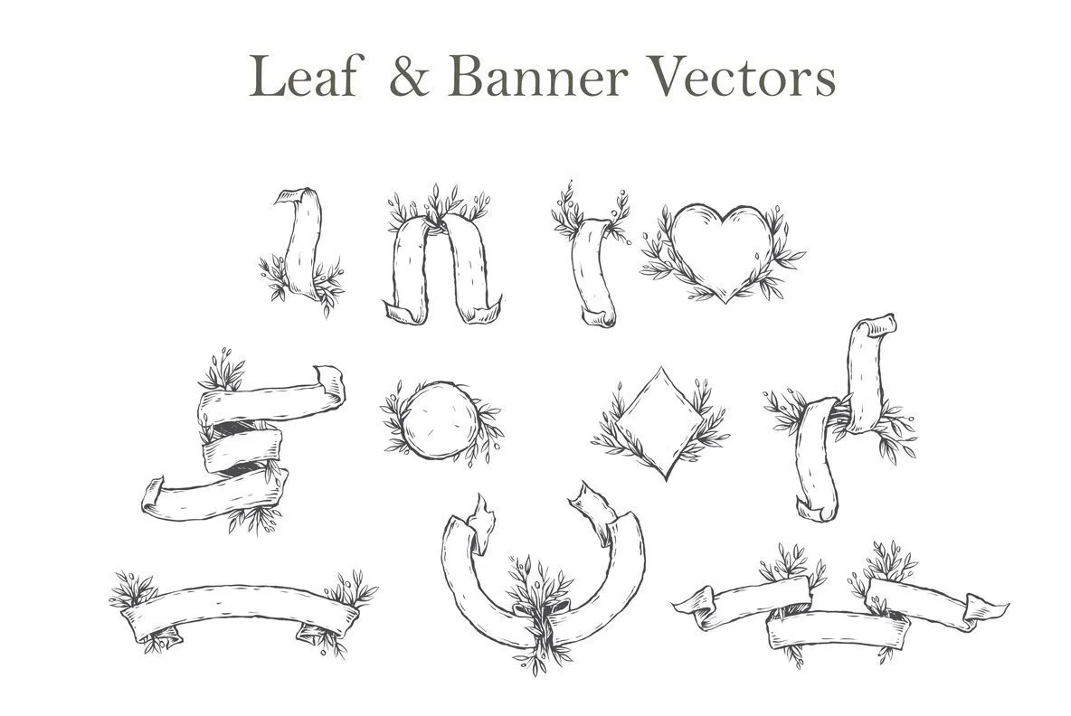 Leaf & Banner Vectors