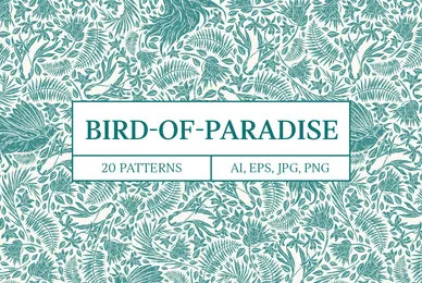 Bird of Paradise Patterns