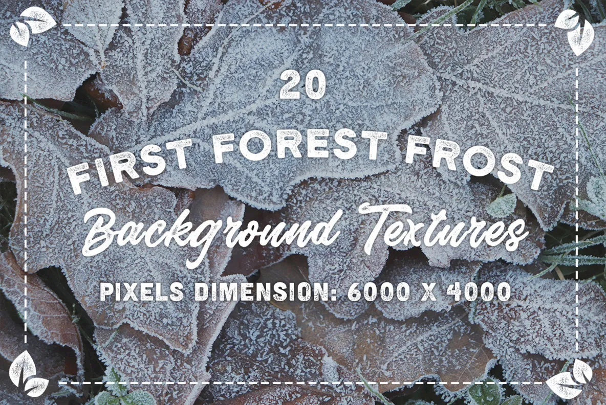 20 First Forest Frost Backgrounds