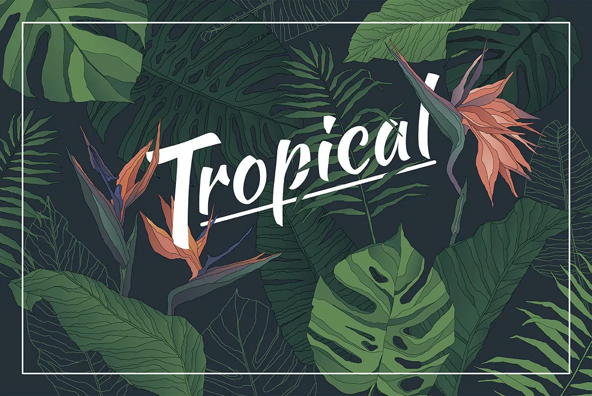 Tropical Set