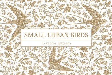 Small Urban Birds Patterns