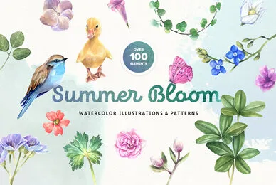 Summer Bloom Watercolor Set