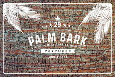 29 Palm Bark Textures