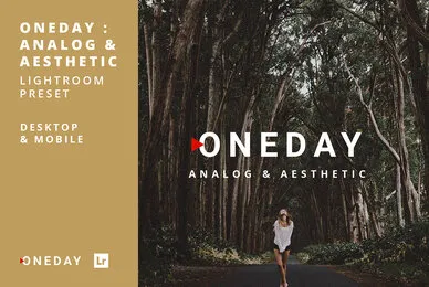 Oneday Analog   Aesthetic Lightroom Presets