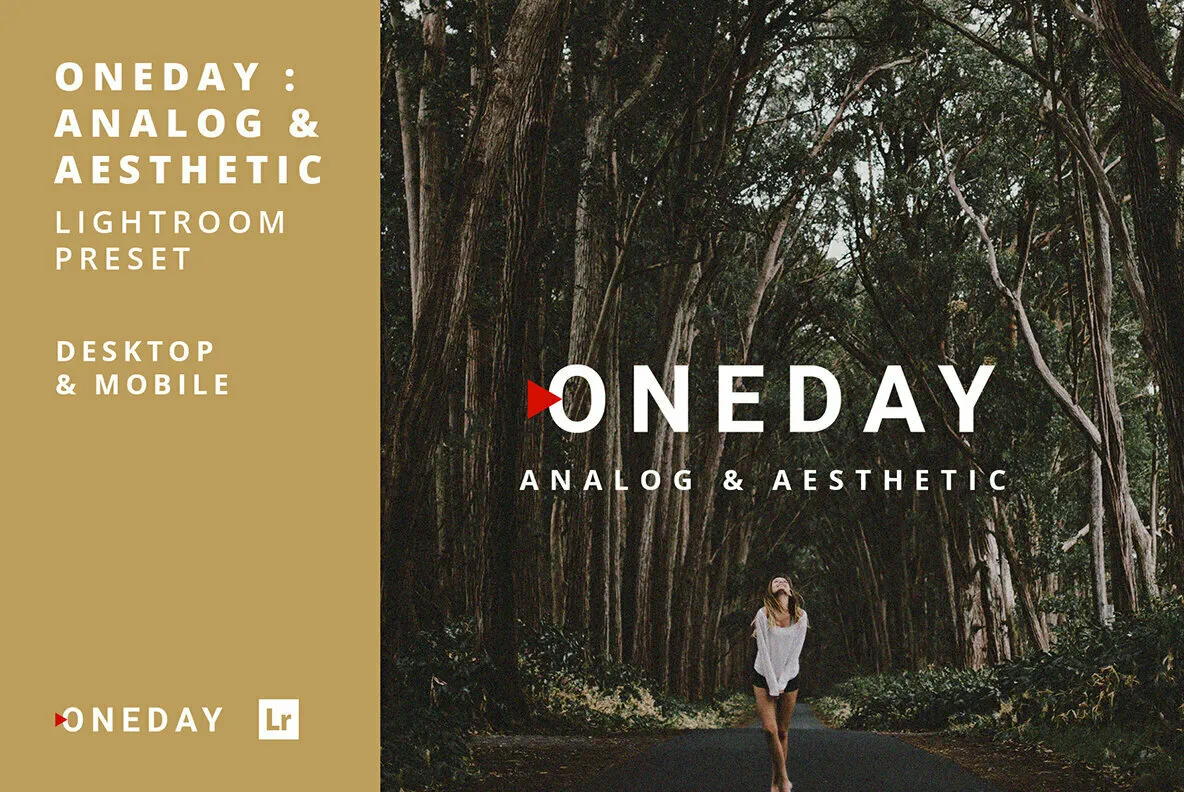 Oneday Analog & Aesthetic Lightroom Presets