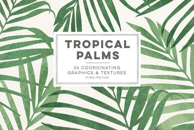 Tropical Palms Digital Graphics