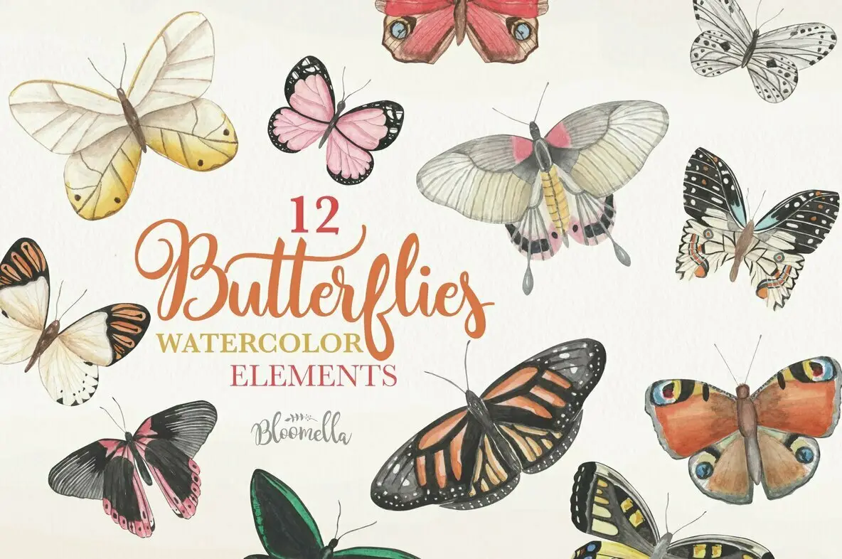 Butterfly Watercolor Package