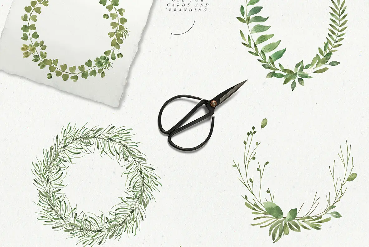 Leafy Leaf Collection Font - Fontpath