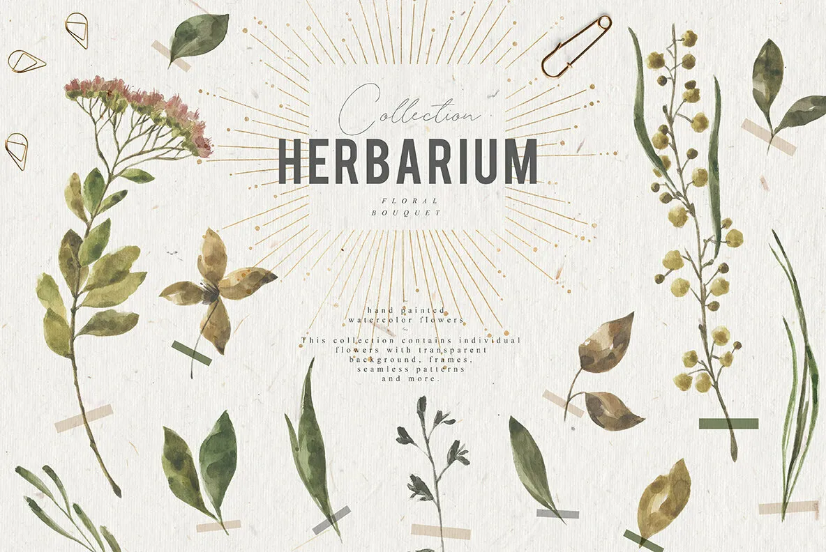 Herbarium Watercolor Collection