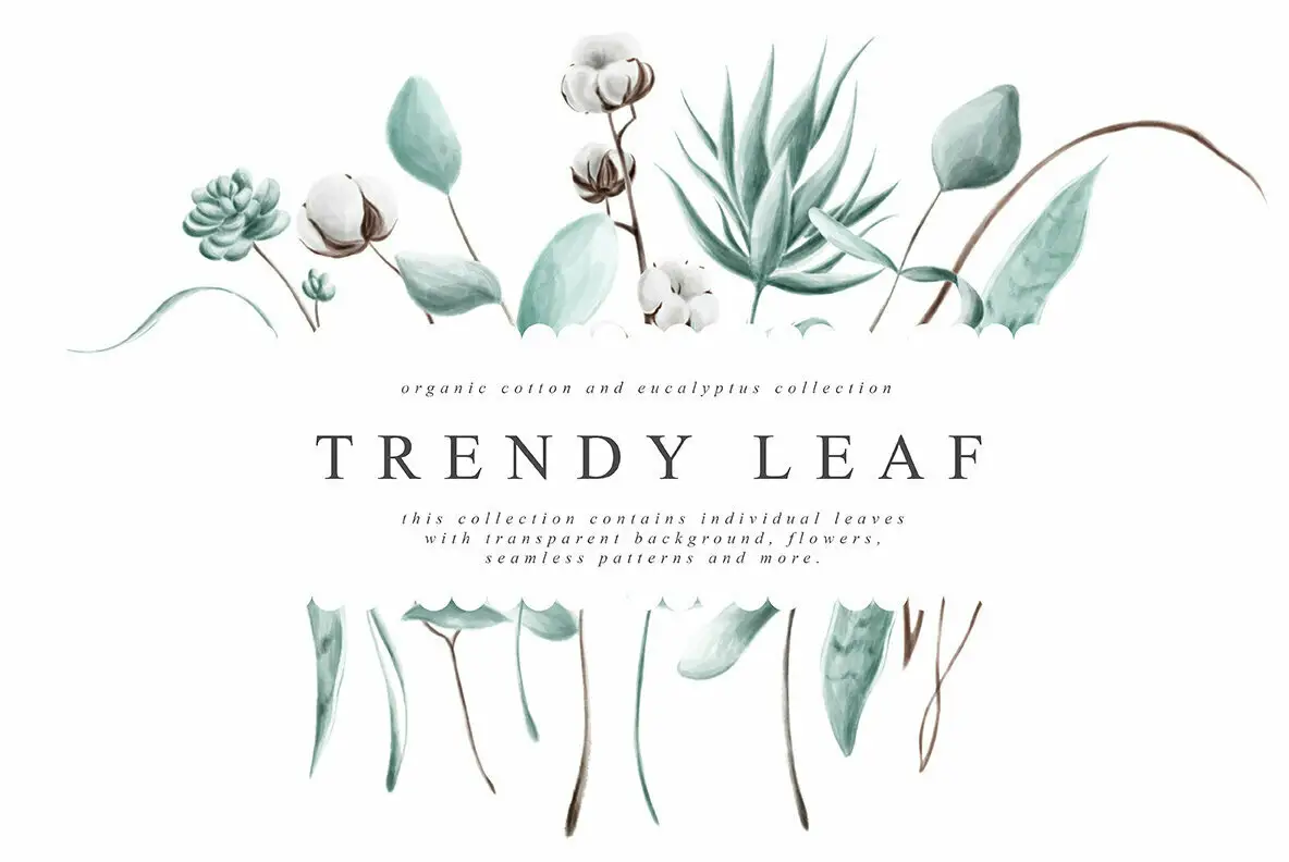 Trendy Leaf Collection