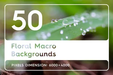 50 Floral Macro Backgrounds