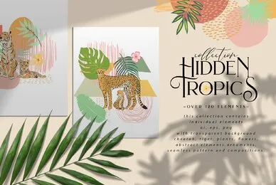 Hidden Tropics Collection