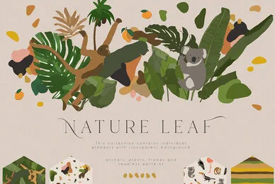 Nature Leaf Collection