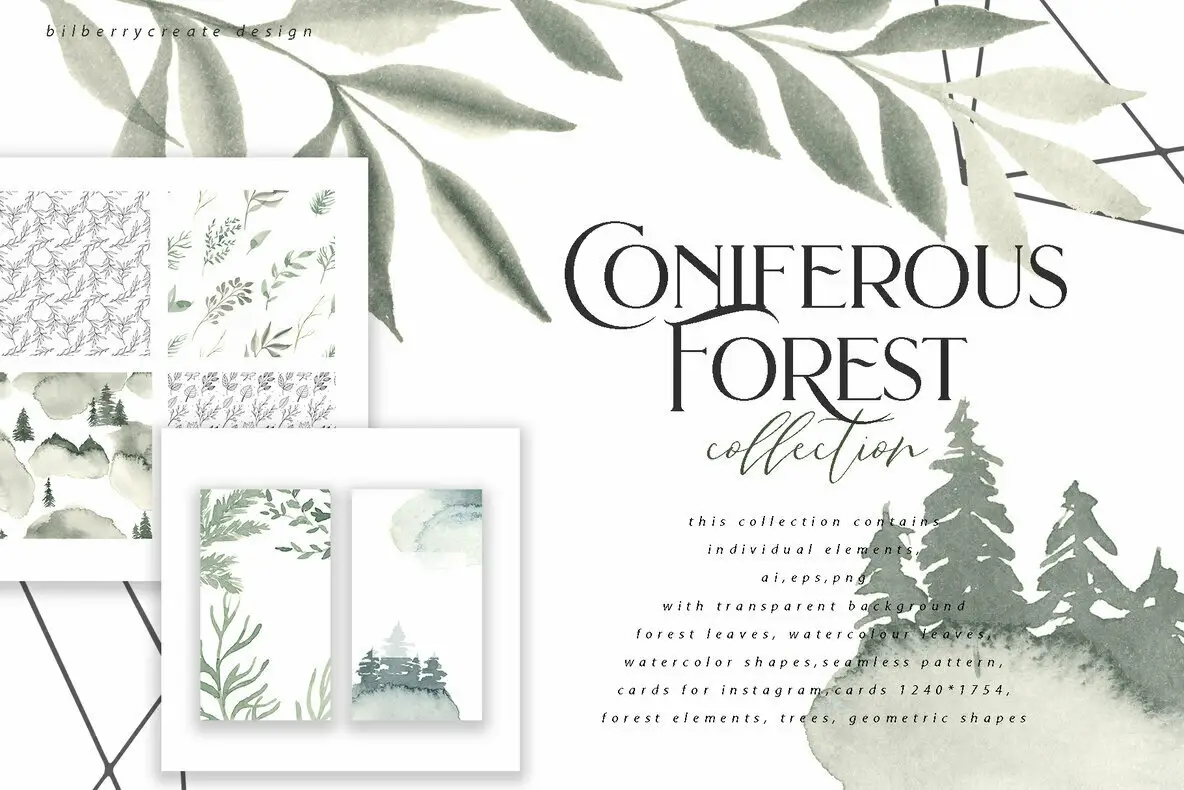 Coniferous Forest Collection