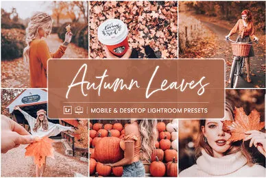 Autumn Leaves   Mobile  Desktop Lightroom Presets