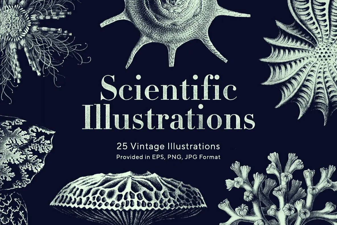 Scientific Illustrations