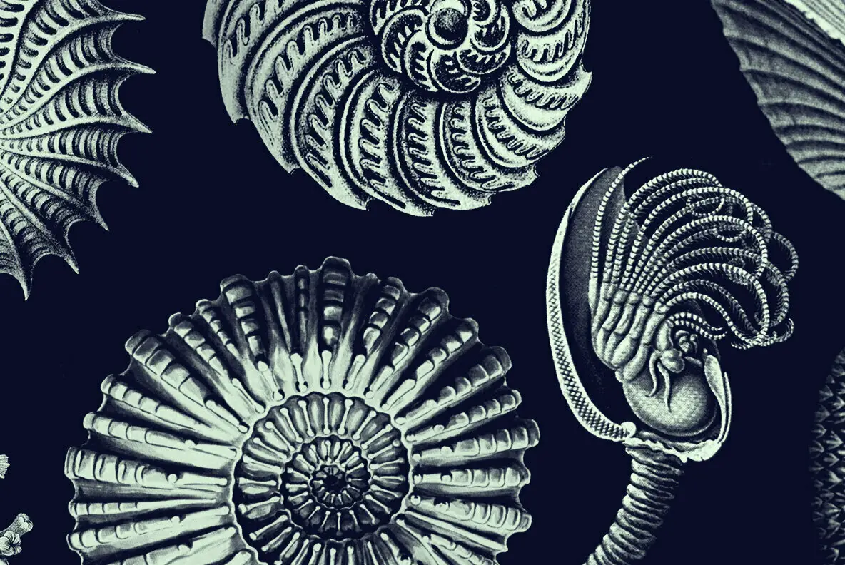 Scientific Illustrations Graphics Youworkforthem