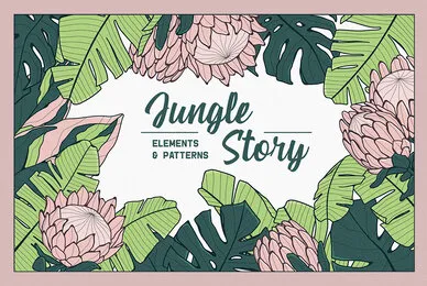 Jungle Story