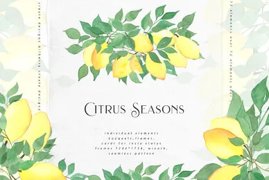 Citrus Seasons