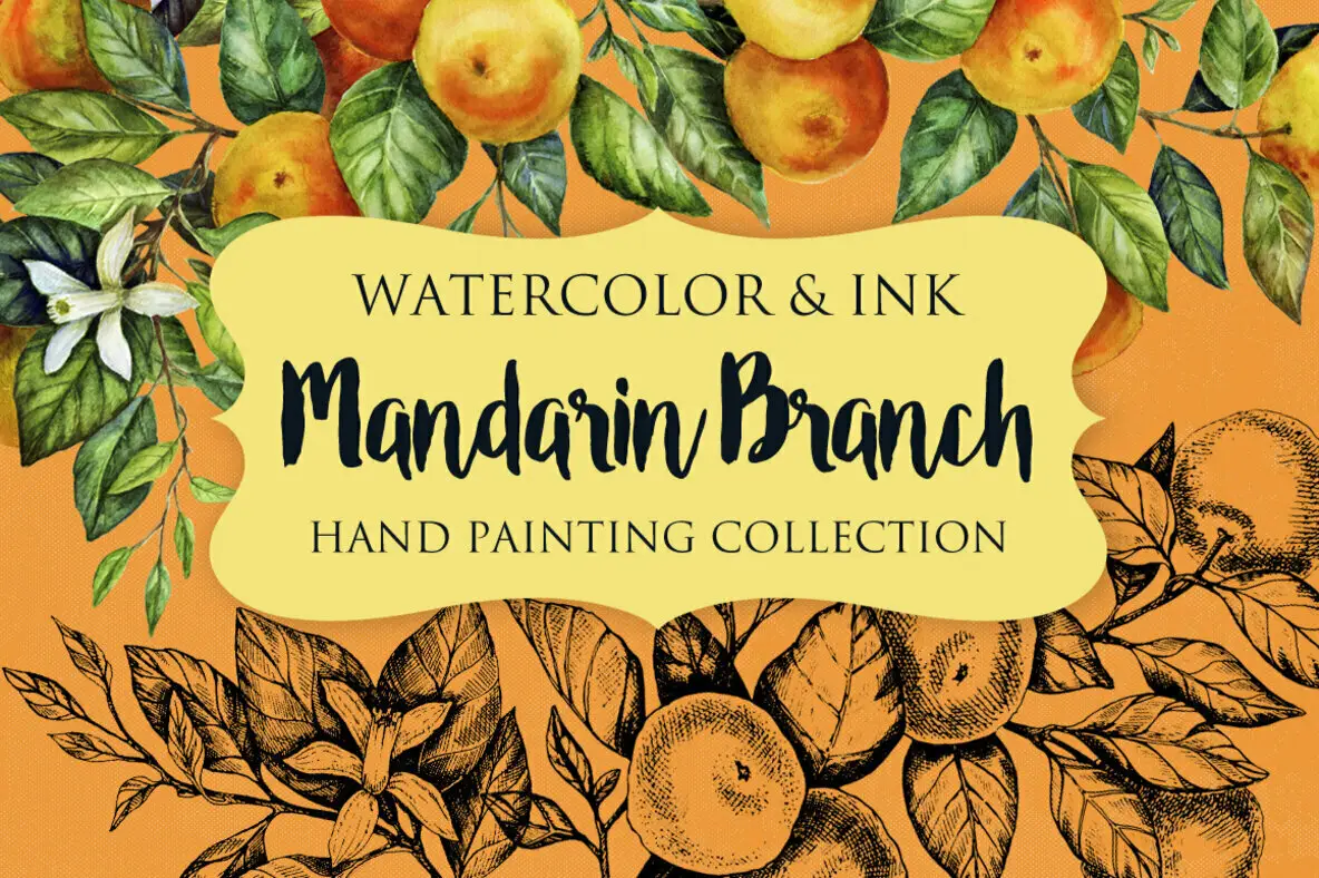 Mandarin Branch Watercolor & Ink