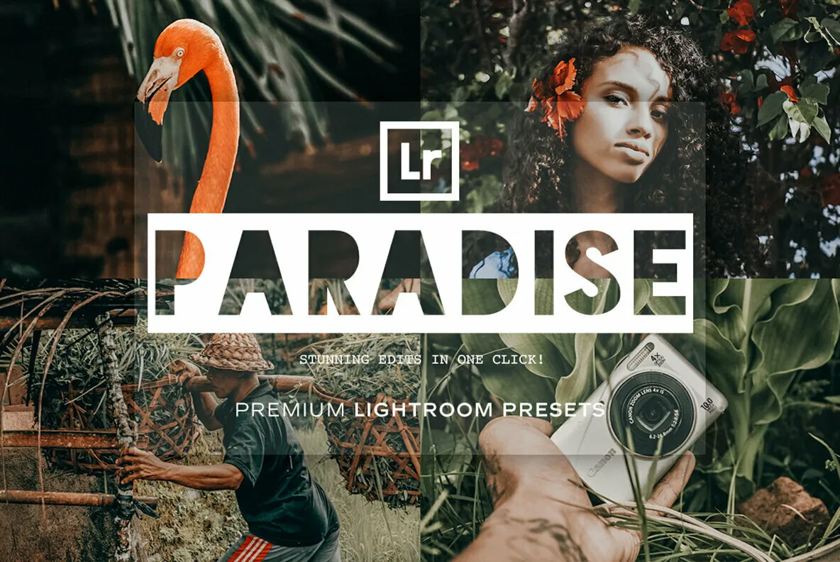 Paradise - Lightroom Presets